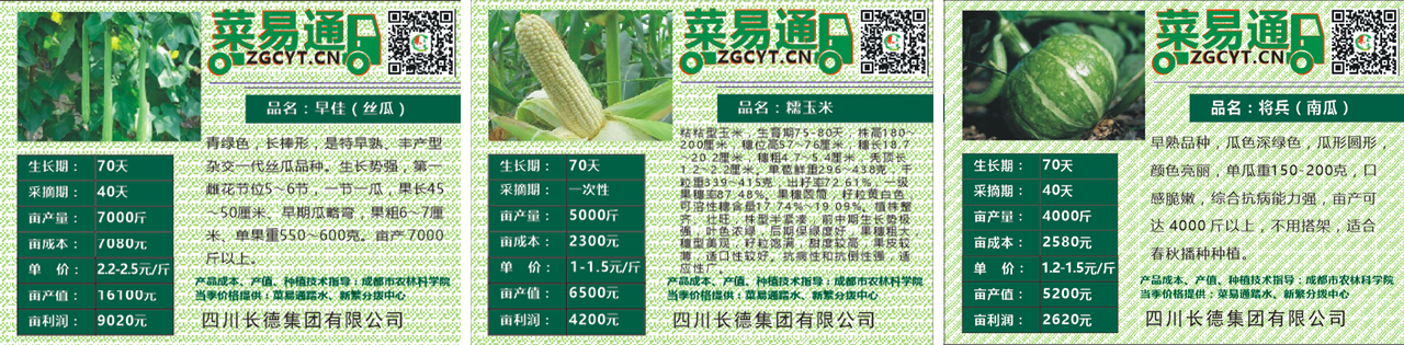 Z6尊龙·凯时投资集团