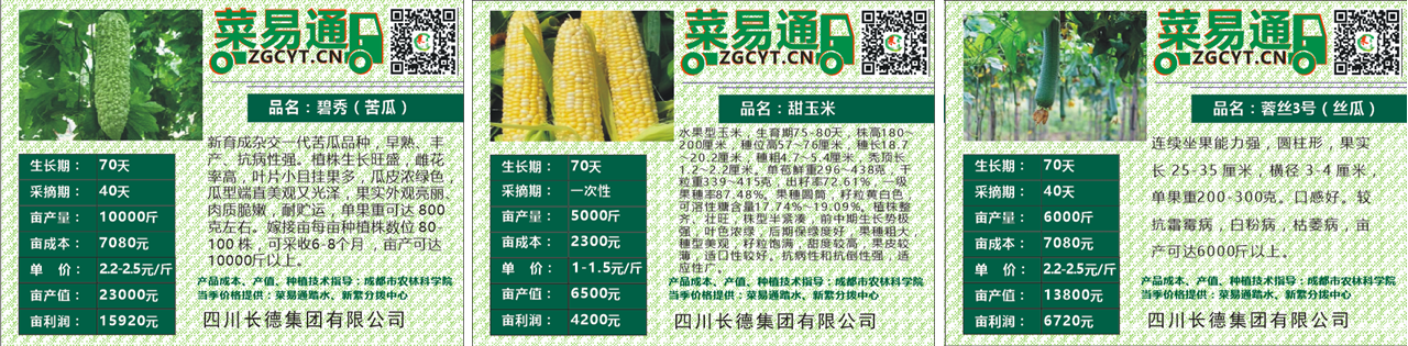 Z6尊龙·凯时投资集团