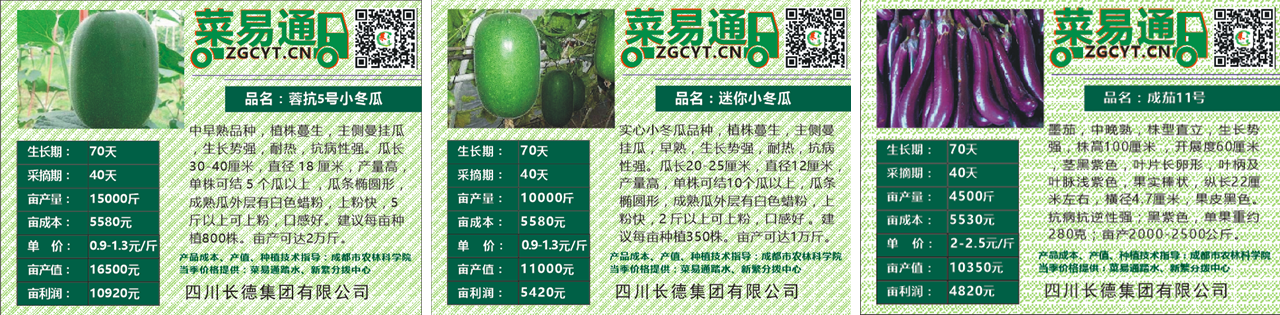Z6尊龙·凯时投资集团