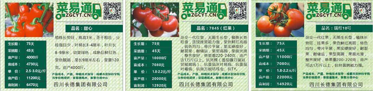 Z6尊龙·凯时投资集团